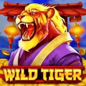 Wild Tiger by BGAMING, showcased at casino-instant.be – game logo